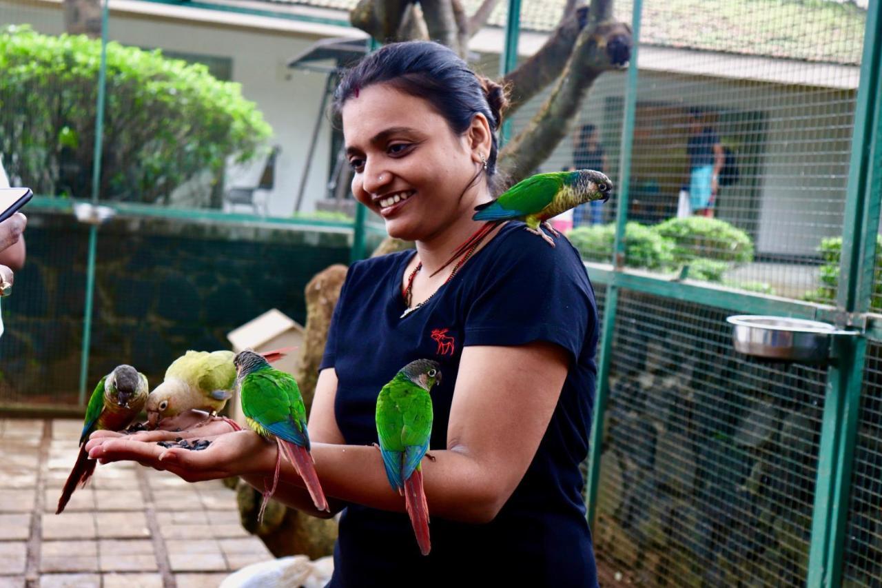 Manas Resort With Petting Zoo, Igatpuri Exteriér fotografie