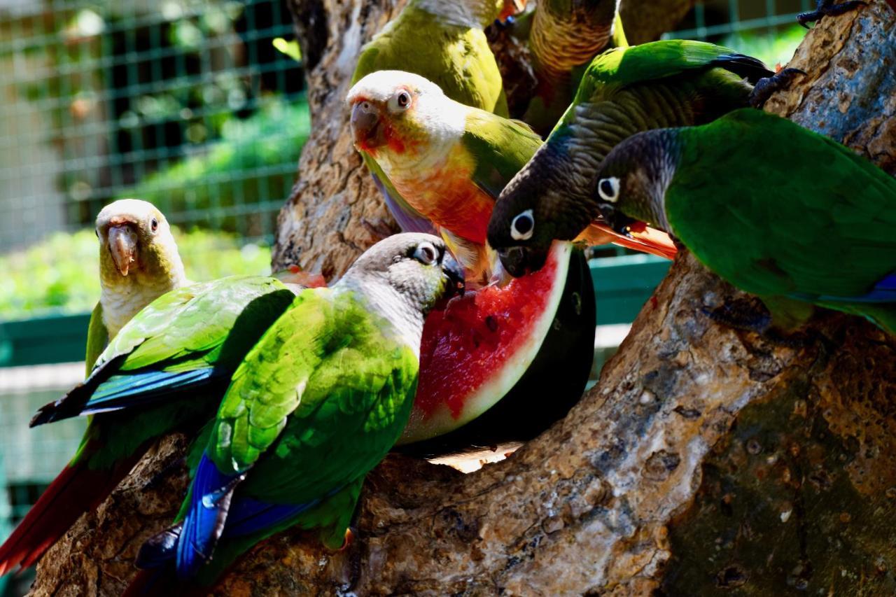 Manas Resort With Petting Zoo, Igatpuri Exteriér fotografie